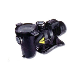 Swimming Pool Pump Manufacturer Supplier Wholesale Exporter Importer Buyer Trader Retailer in New Delhi Delhi India